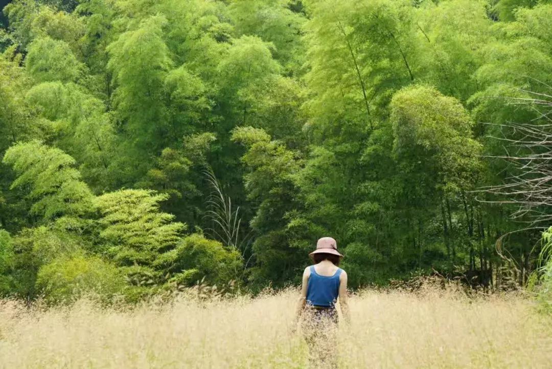 一家三口春节7天旅游民宿,春节去哪里民宿玩推荐一下