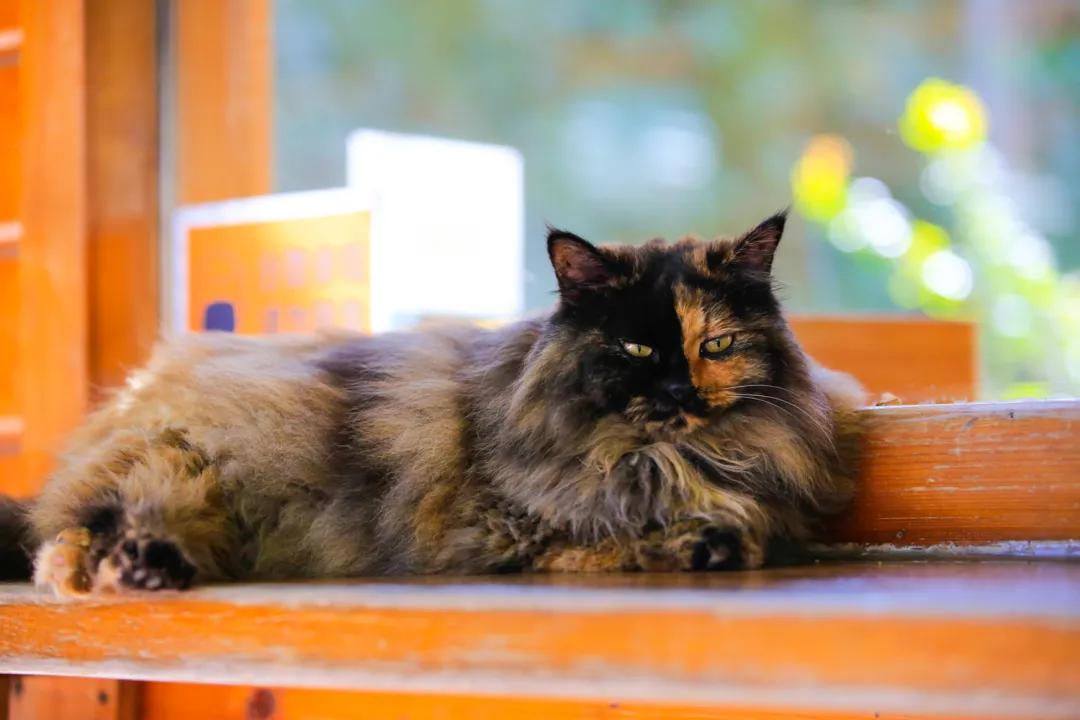 拼头条吗？好姐妹就要一起上啊