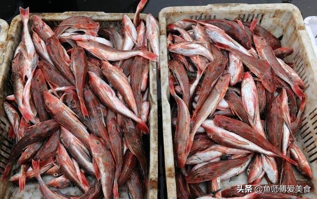 春季野生海鱼,应季野生海鱼