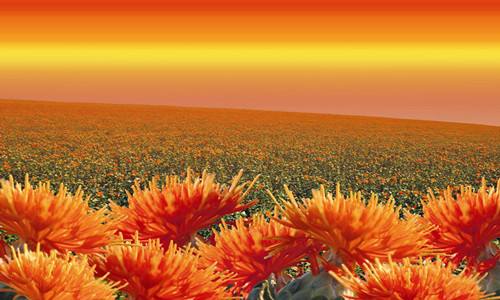 听说去*疆新**干农活很挣钱，不顾家人反对跑到*疆新**，在*疆新**真实经历