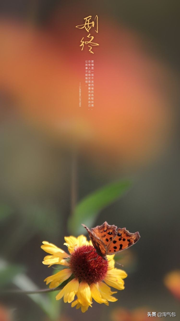 秋分愿生活恰如其分,人生恰如秋分生活恰如其分