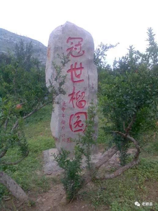 徐州为什么和山东很像,为什么徐州和山东亲近