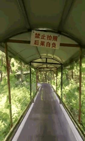 2020年唐山山叶口景点,等这一切过去