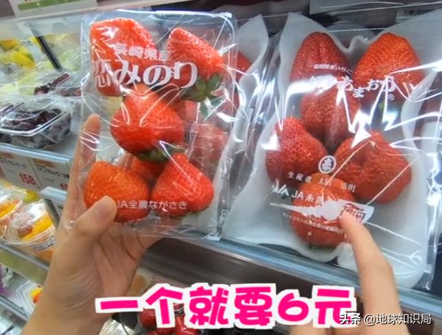 日本西瓜200人民币一个？这背后不为人知的是……|地球知识局