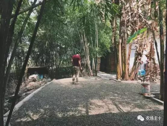 改造山野小院记录田园生活,花4万块钱改造的小院