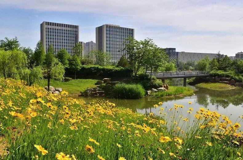 沈阳铁西区免费足球场,沈阳即将开工的足球场