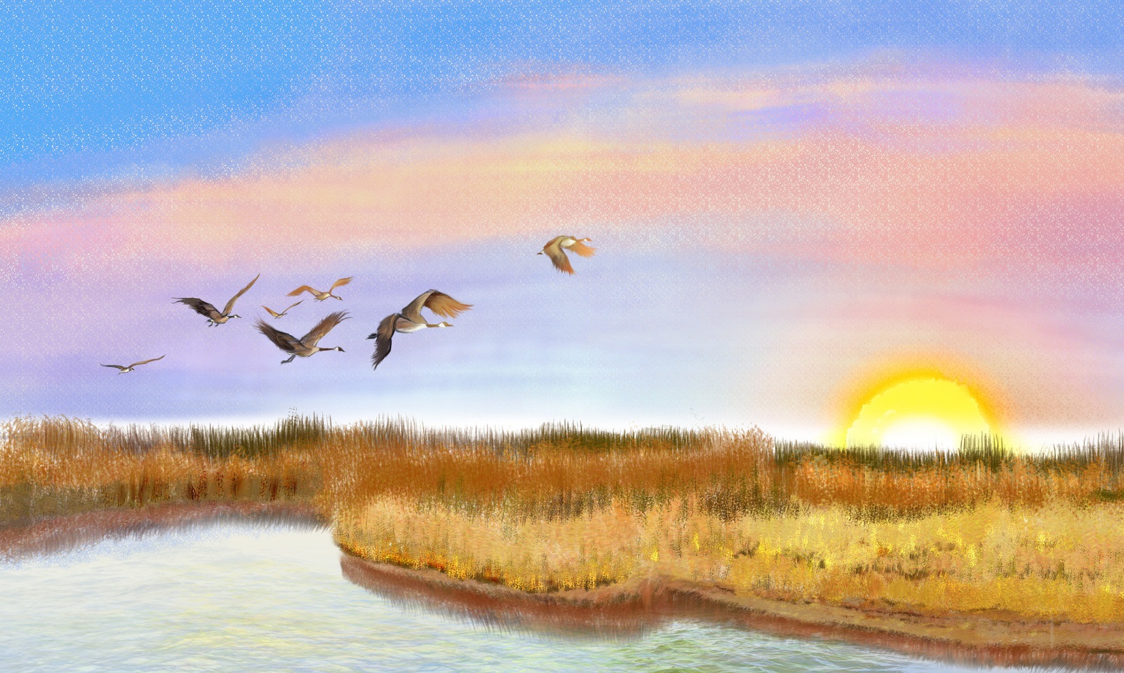 当你生活不如意的时候不妨看看,生活不如意的时候该怎么面对