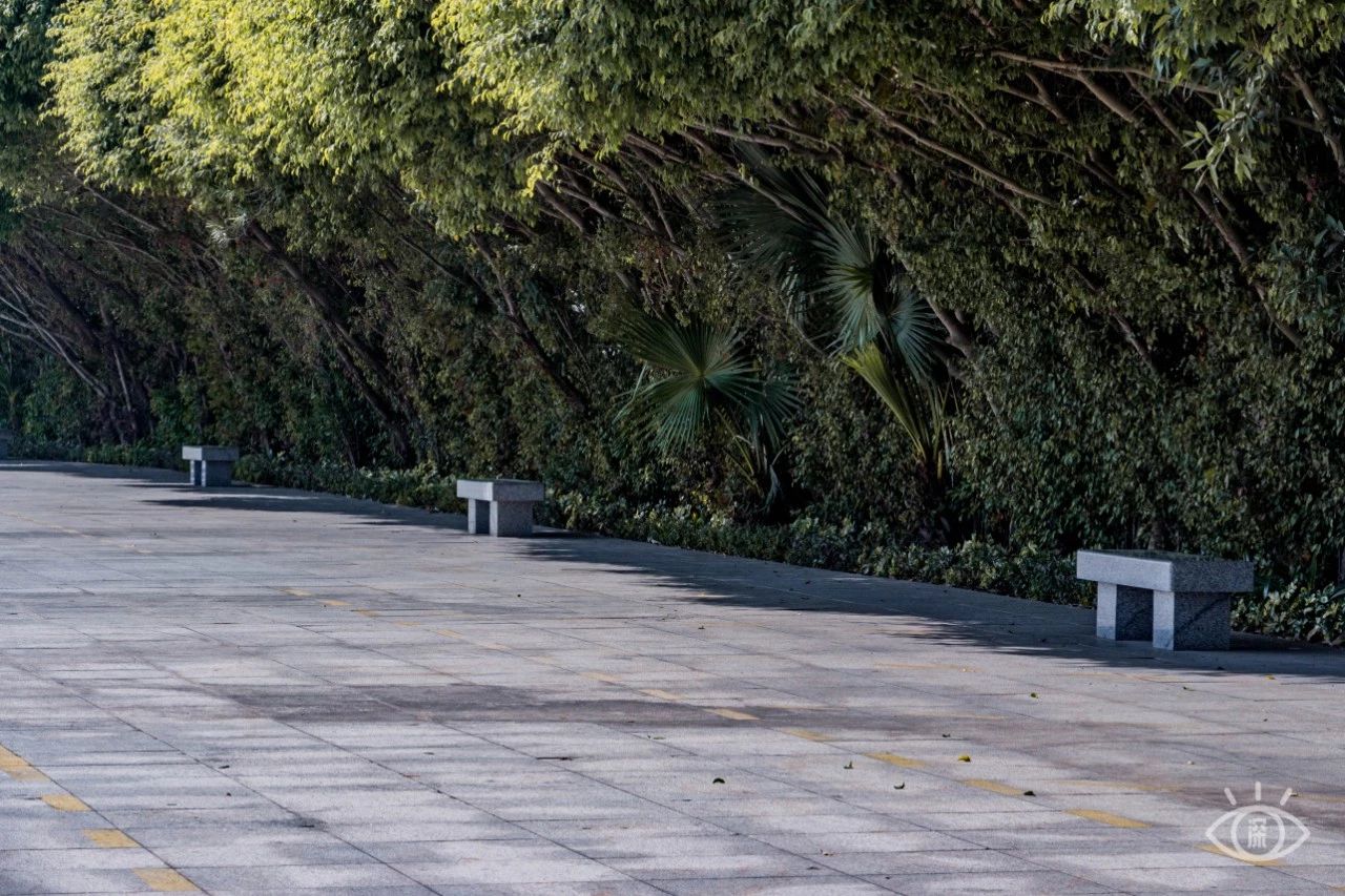 深圳绝美小岛景点介绍,深圳有哪些绝美的海景