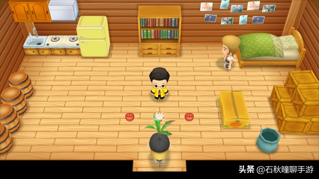 牧场物语重聚矿石镇最全攻略,牧场物语重聚矿石镇霍安喜欢什么