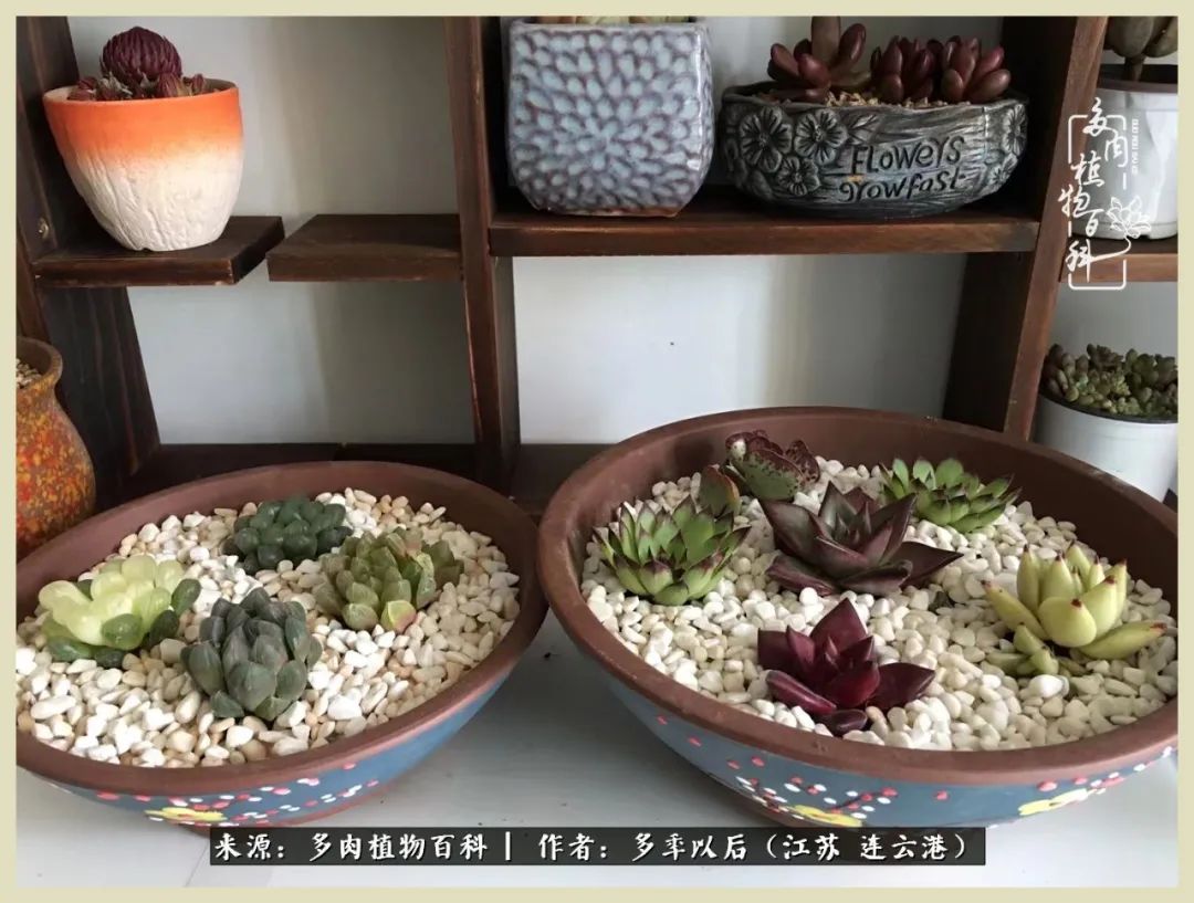 多去花前谈以后，少来月下忆当年