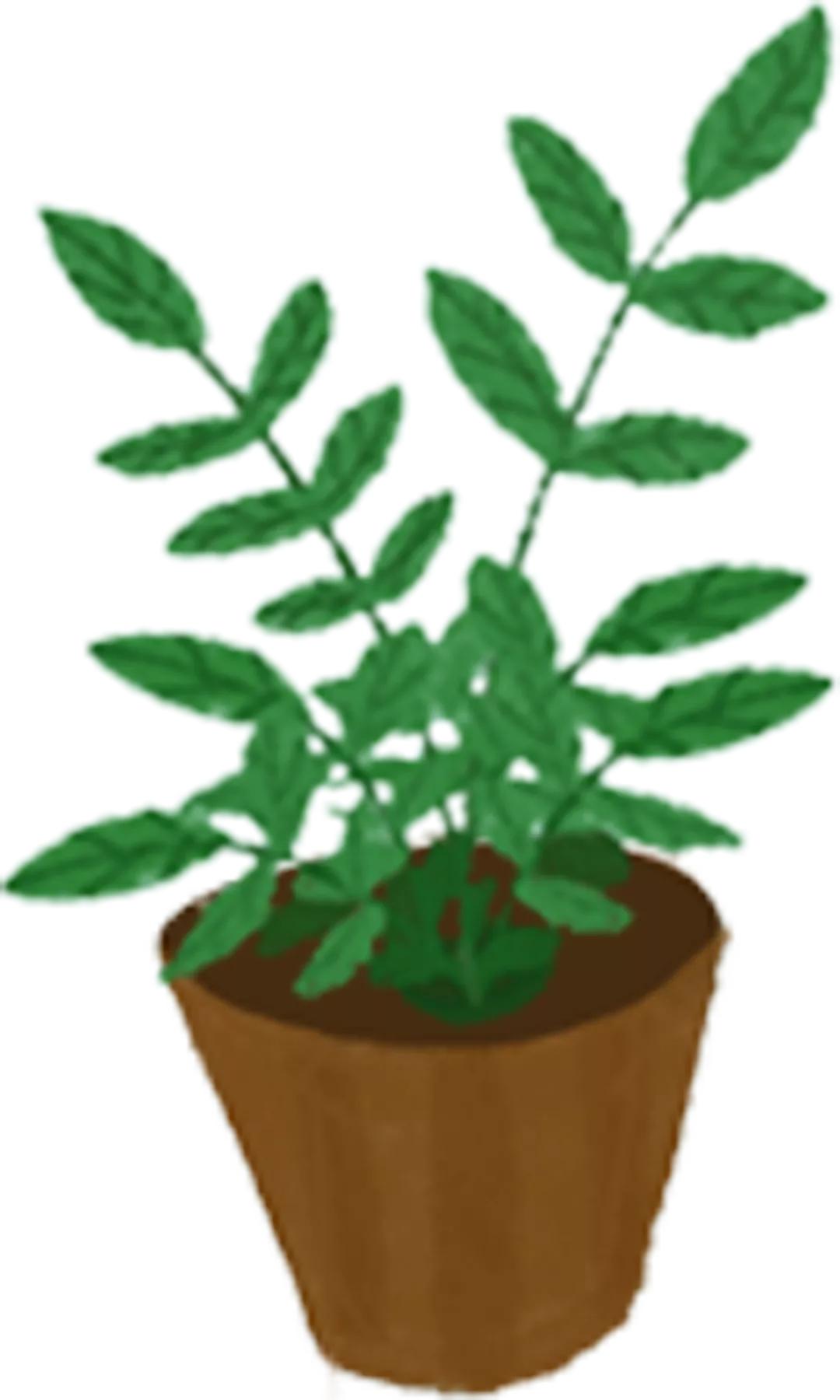 教师如何培养小学生的阅读能力,小学教师靠阅读成功