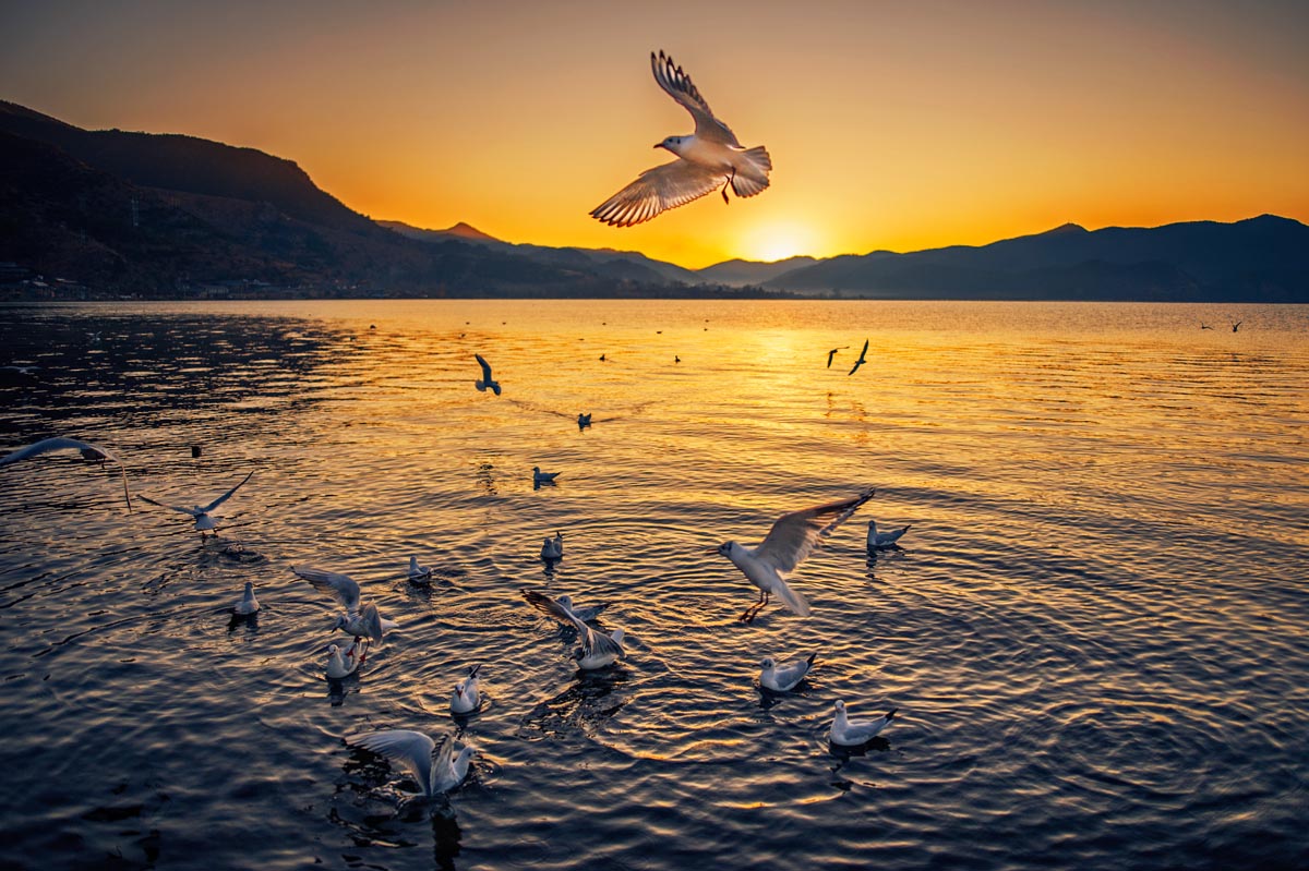 泸沽湖唯美视频,泸沽湖美到窒息