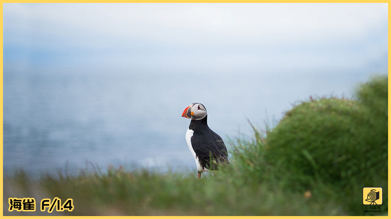 摄影基础光圈和景深的区别,摄影新手必须掌握的光圈用法