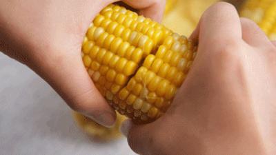 来自云南大山新鲜的橙子,新鲜爆甜水果玉米