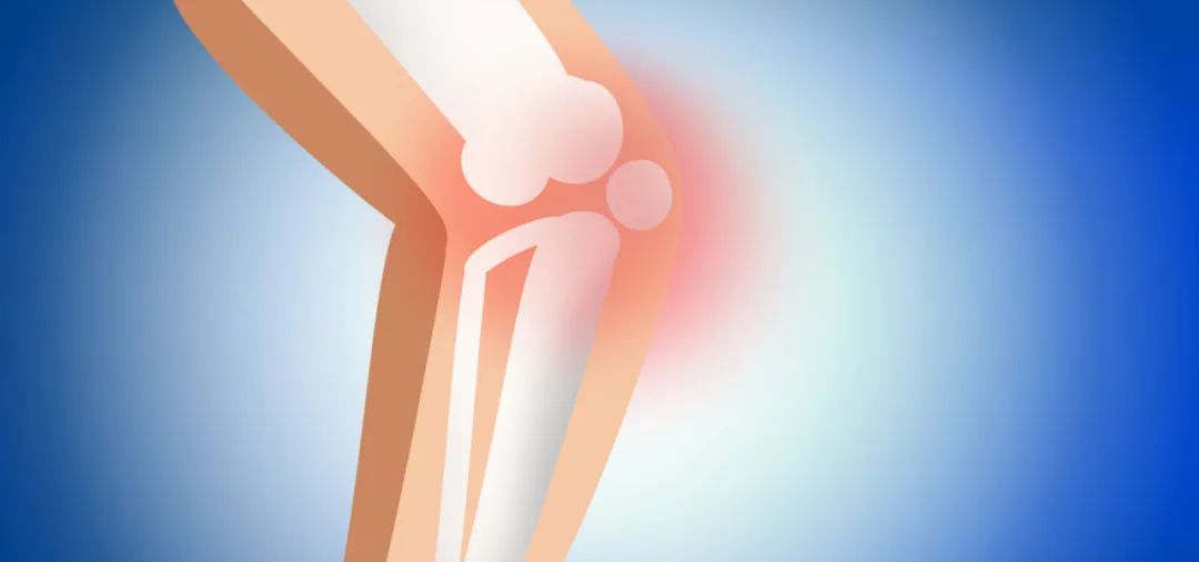 糖皮质激素对促甲状腺激素的影响,甲状腺激素对人体各方面的影响