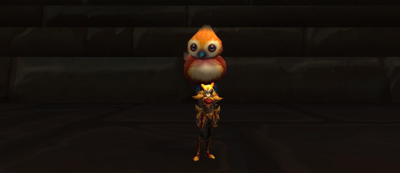 魔兽万灵旅店—魔兽超萌宝贝,让它获得你头发的永久居住权