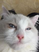 做到这7点疾病远离你,做到这八点让你越来越自律