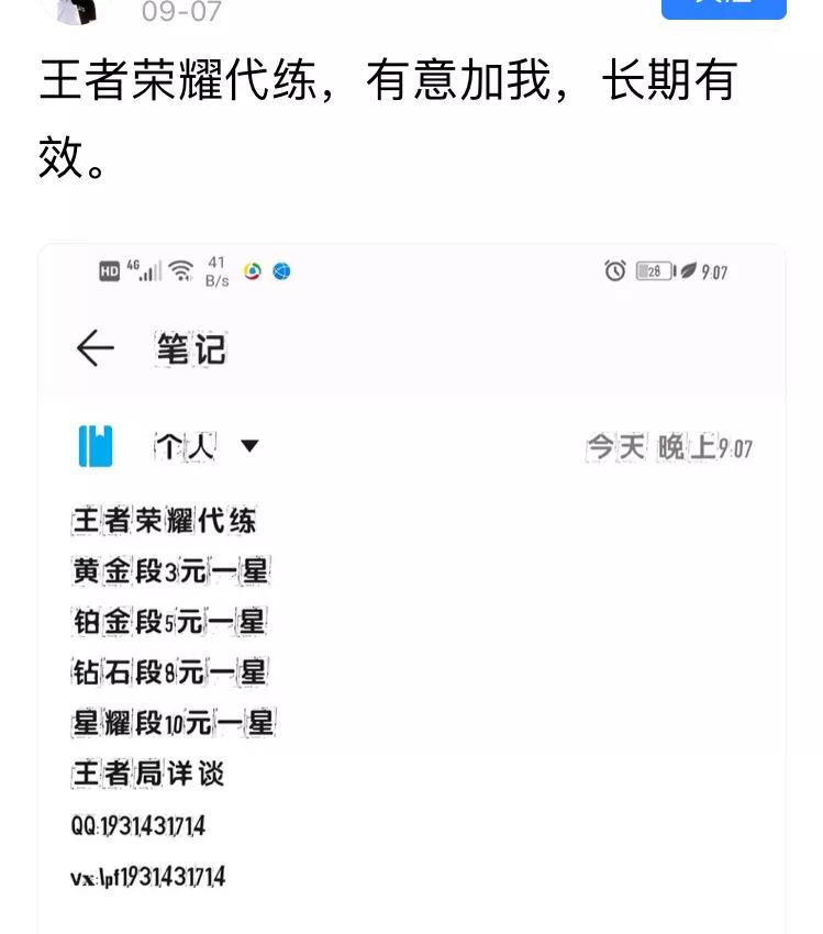 王者荣耀代陪练一个月能赚多少,王者荣耀代训接单