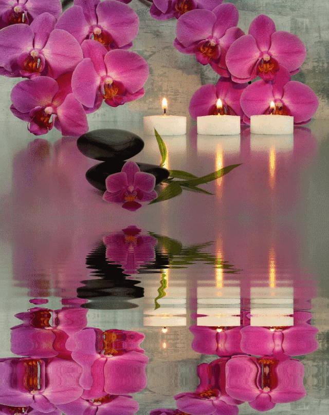 神秘的水中花,趣味神奇的水中花