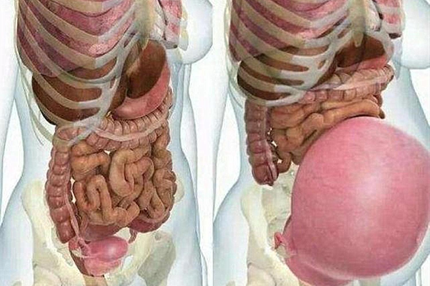 一张照片证明母爱有多伟大,一张图告诉你怀孕都有哪些痛苦