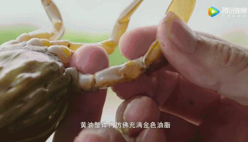 所有人都想请他来东莞拍「肉戏」