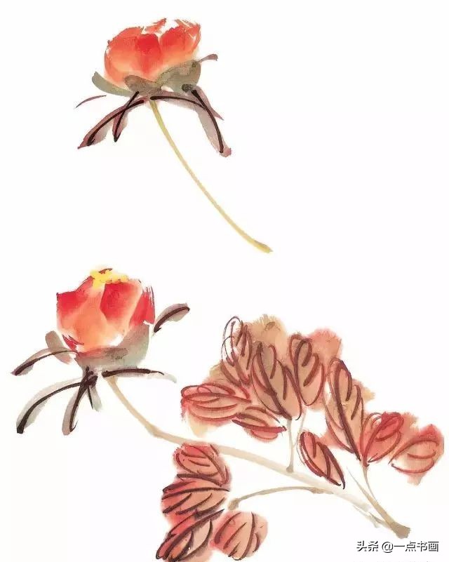 王绣写意牡丹画法步骤,王兮然写意牡丹画法视频大全