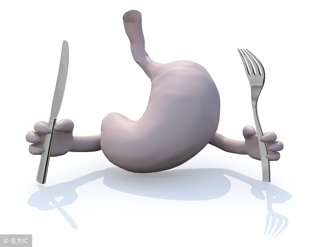 精心照料8天终于捡回狗命,40天狗细小救活几率