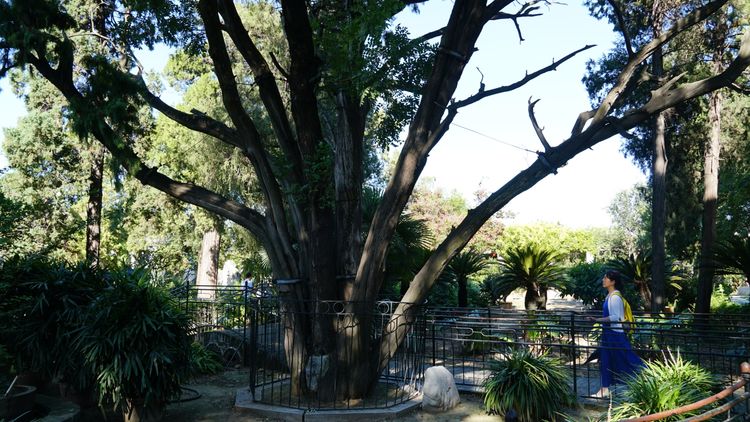 曲阜三孔知识,曲阜三孔文化信息交流