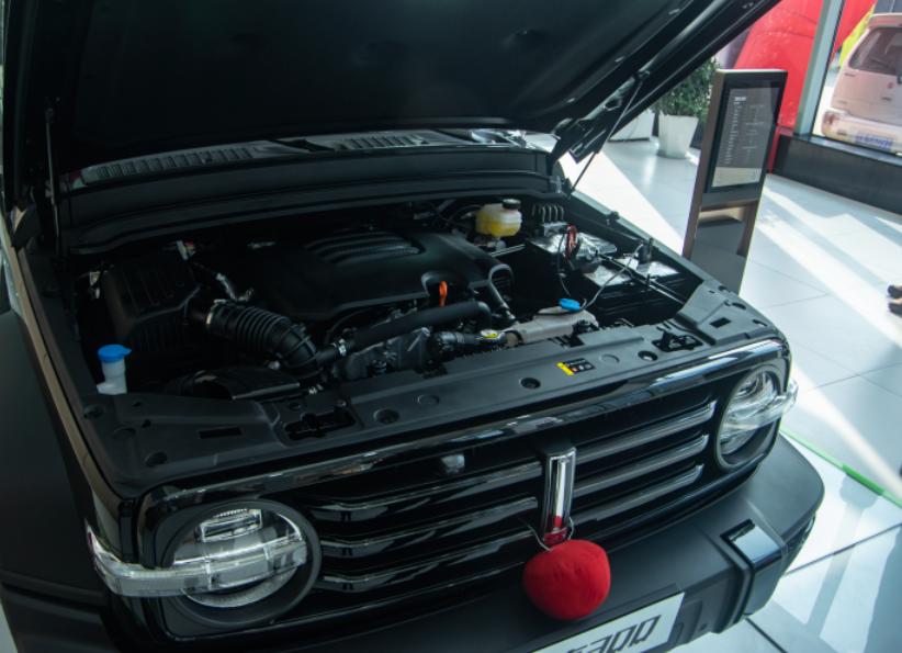 探店坦克300,最新款坦克300拖车