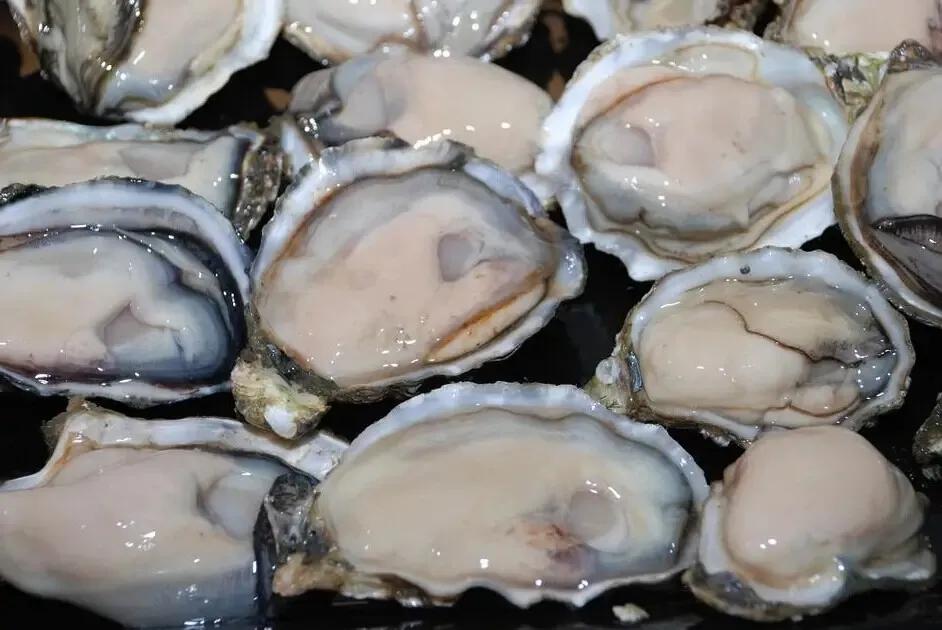 文登西洋参园,天福山文登