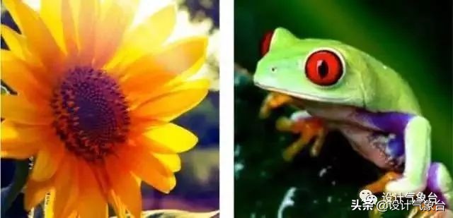 别说了,我们作品集的分析图都用灰系!(附全套素材)