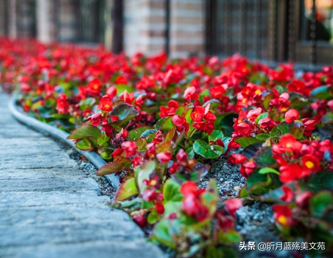 一根烟一杯酒一转身一辈子,一转身一辈子便是永远