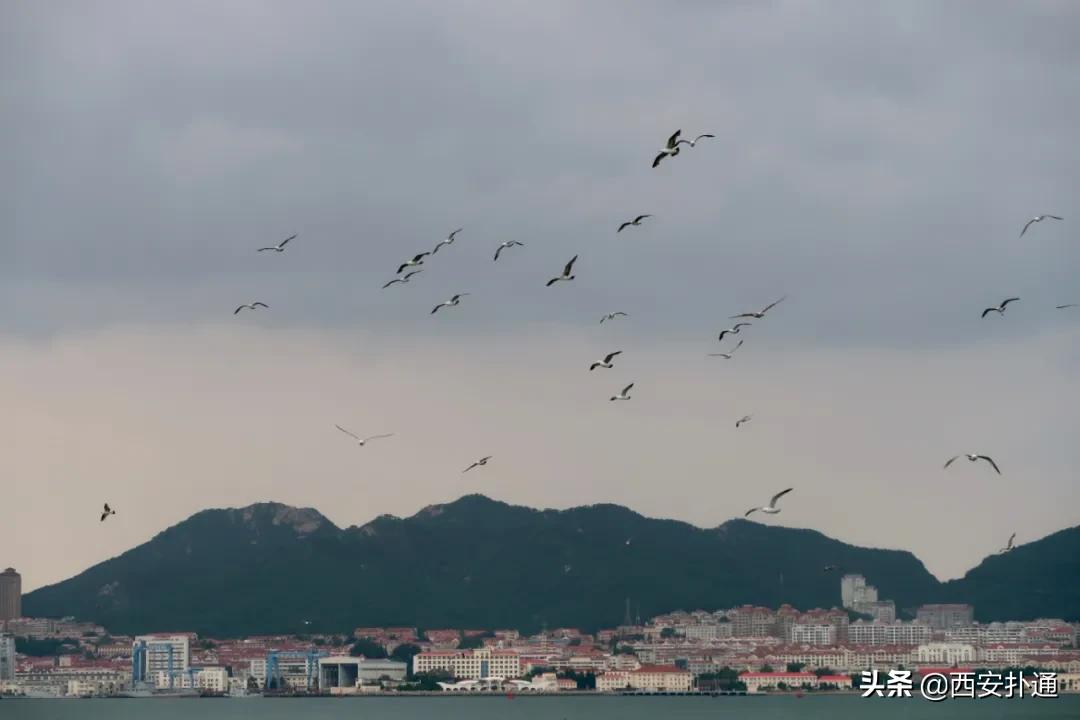 青岛烟台威海玩海攻略,青岛威海烟台大连环线旅游攻略