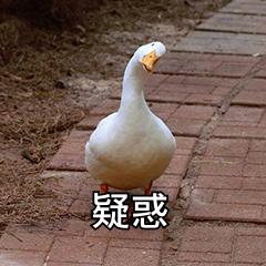 华为越用越卡？别再胡乱清理了！了解这些文件夹，立马多出几个G