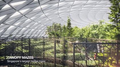 耗资85亿，把瀑布、热带雨林搬进机场！樟宜机场终于要开放了