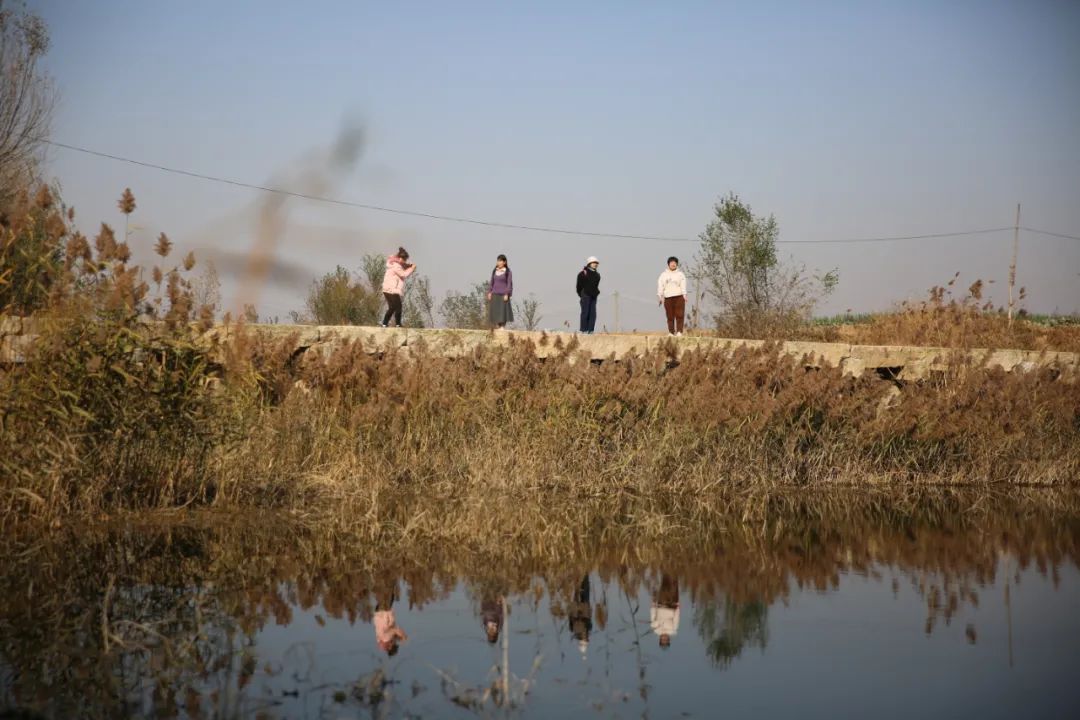 高密作协田野考察（三）乐者电子商务，迎乐科技发布