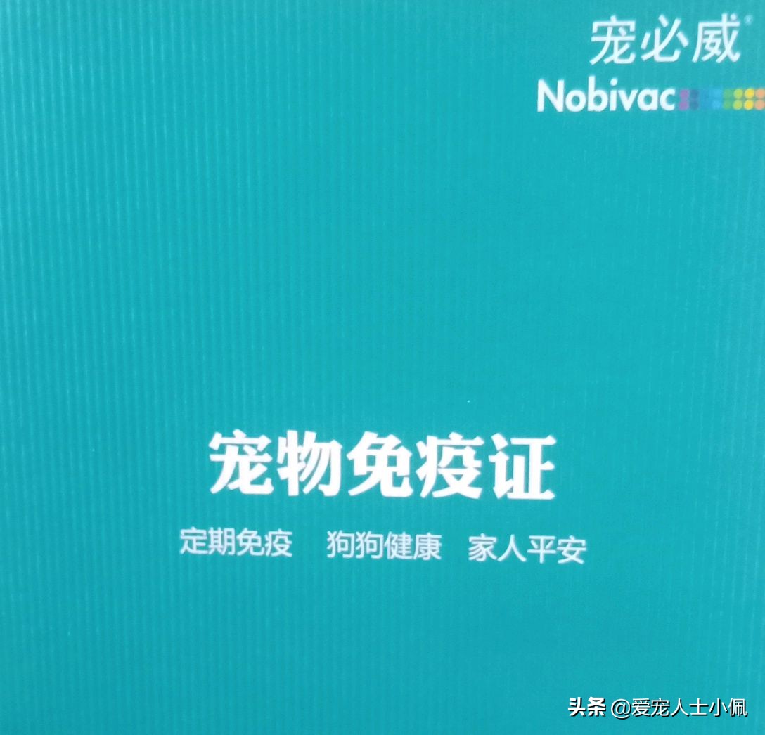 给狗狗打疫苗教学视频防咬,给狗狗打疫苗的正确方法