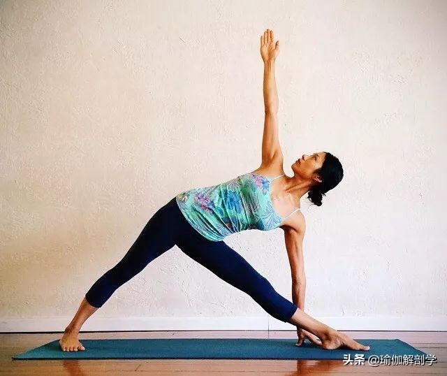仰卧根基建立的瑜伽体式,瑜伽根基稳定系列体式