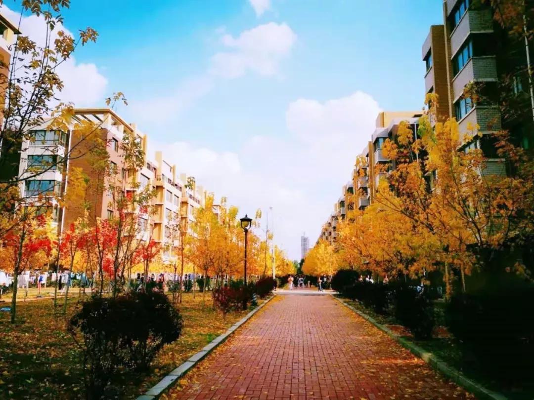 辽宁中医药大学杏林学院有独卫吗,辽宁中医药大学杏林学院属于3+2吗