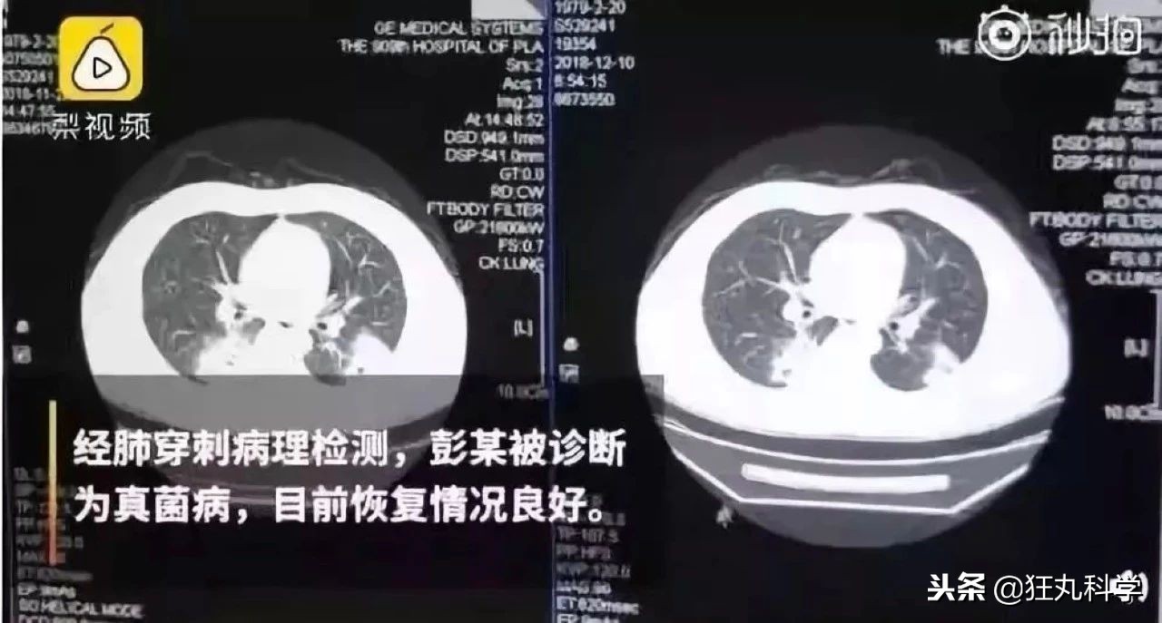 年度沙雕新闻合集,沙雕新闻播报合集