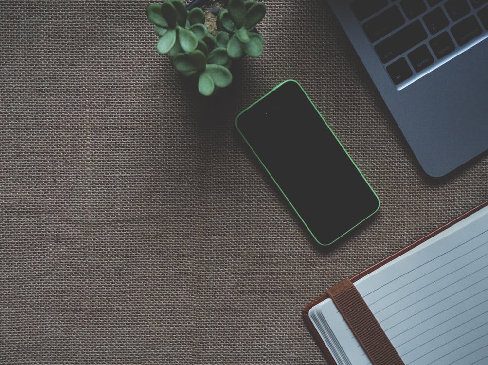 闲鱼的违禁词和营销词是哪些,闲鱼哪些是违禁词