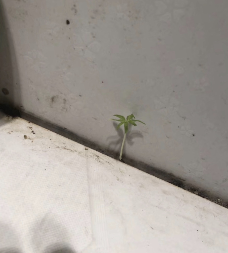 内心的宁静是最好的休憩,去哪里可以寻求内心安静