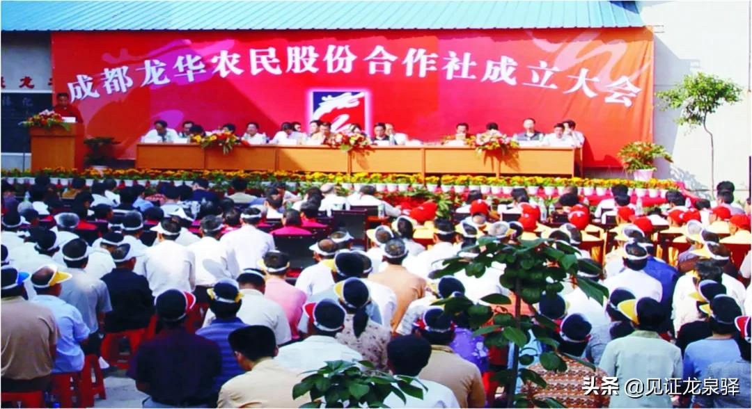 中国*产党共**龙泉驿历史