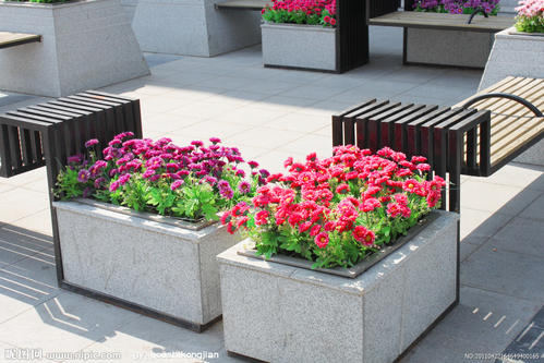 五一草花摆放的图片,春天常见的40种花图片