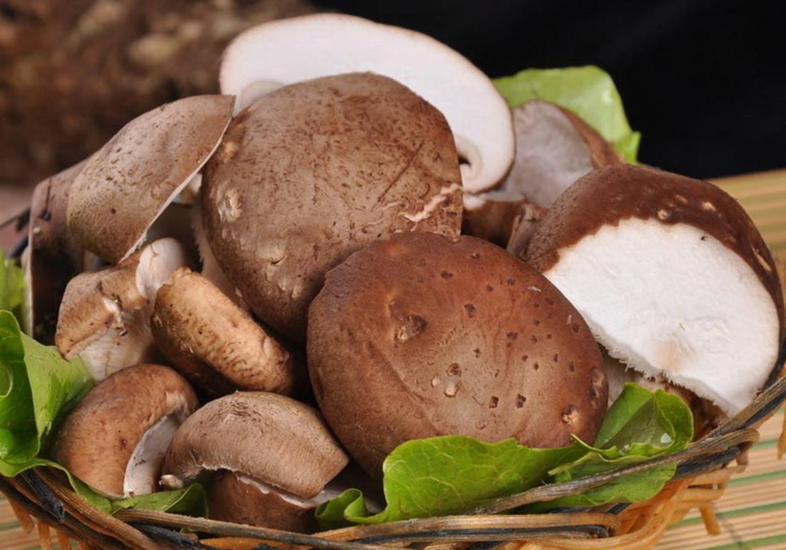 香菇种植怎么预防霉菌,香菇杂菌防治小妙招