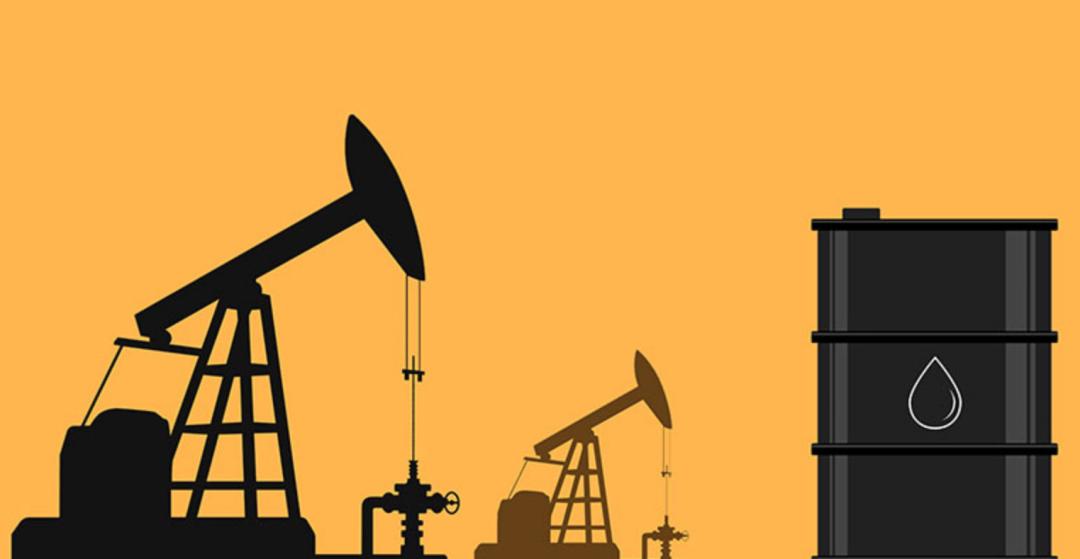 蓖麻子为什么成为了战略物资,蓖麻国家禁止吗