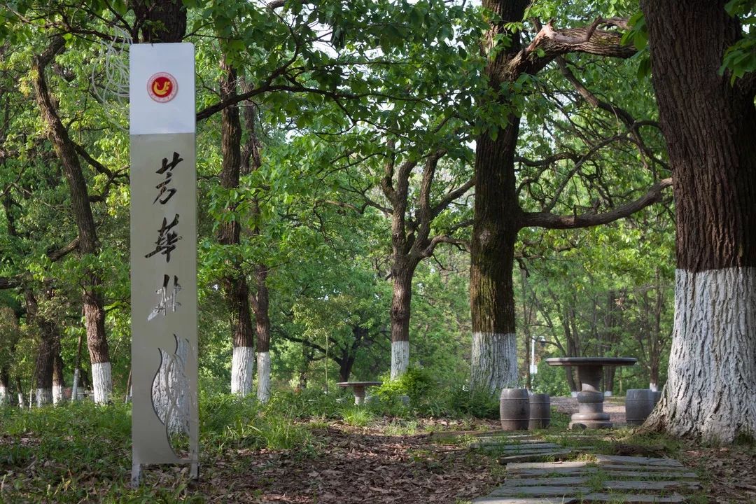 今天我以湖经为荣,明天湖经以我为傲