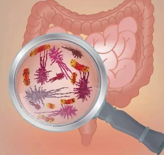 人体排毒不好怎么办,体内毒素太多最好的排毒方法