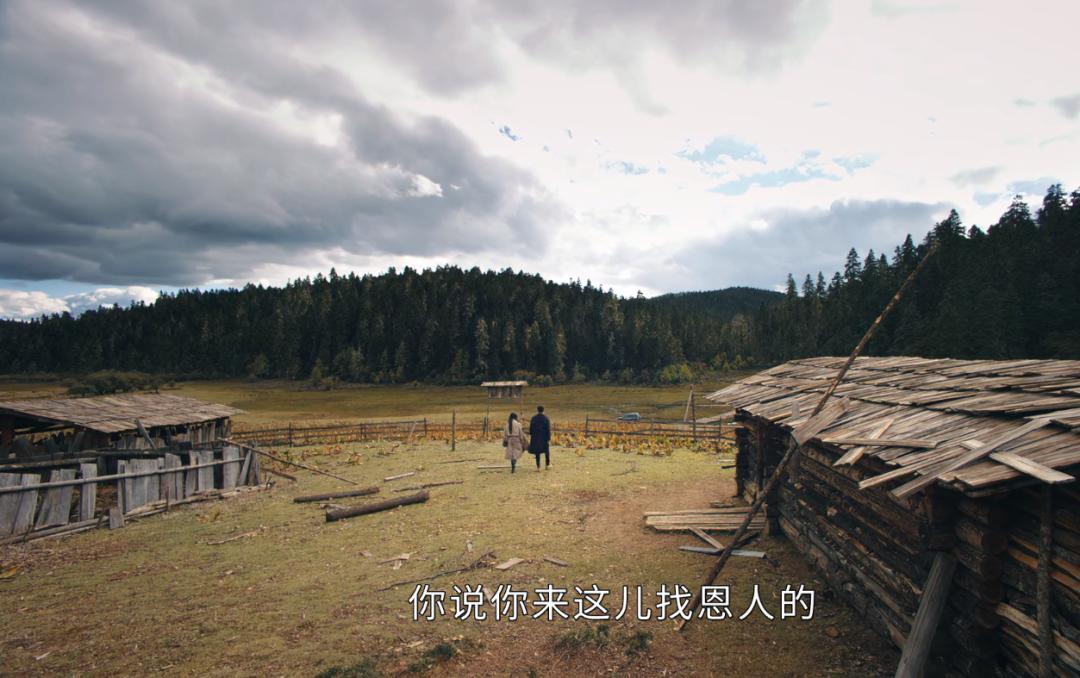 司藤中秦放是什么身世,司藤中的秦放到底是什么身份