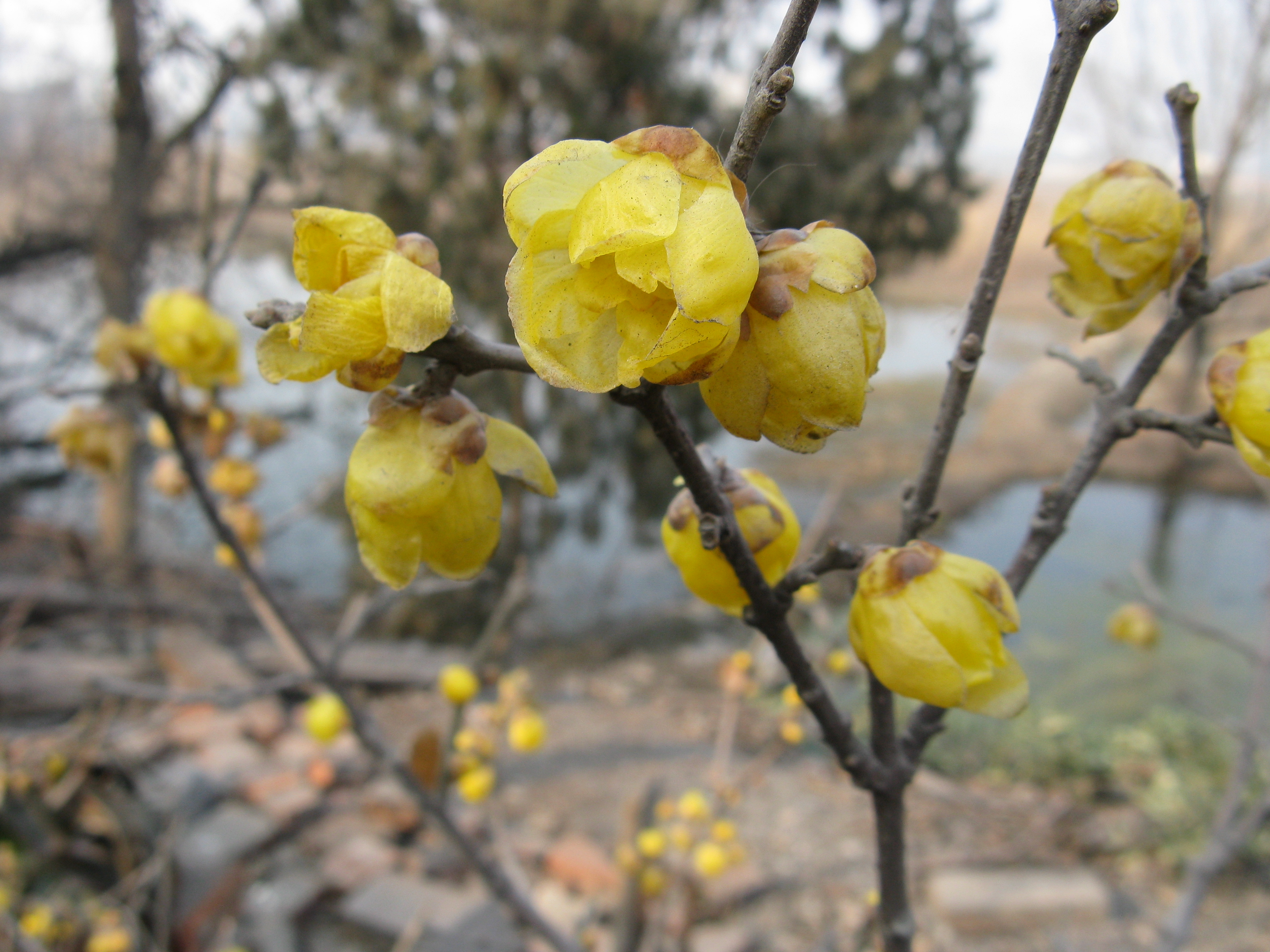 伦仔的故事33,伦仔的故事